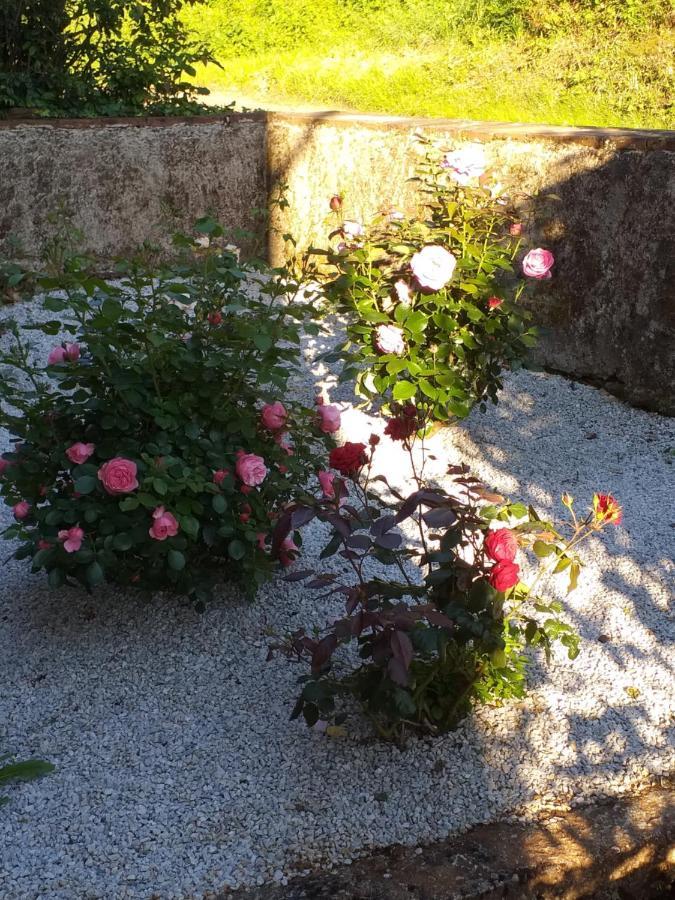 Maison Belvoir Le Fraysse Dış mekan fotoğraf